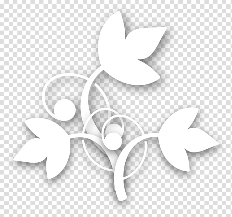seamless, white flower transparent background PNG clipart