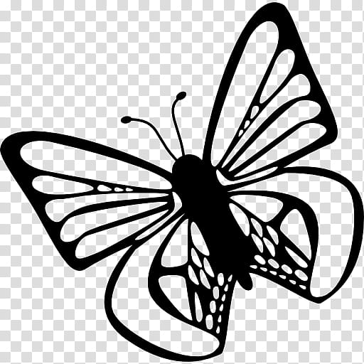 Cartoon Book, Butterfly, Insect, Moths And Butterflies, Blackandwhite, Pollinator, Wing, Line Art transparent background PNG clipart