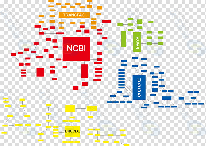 Science, Bioinformatics, Biology, Research, Nucleic Acid Sequence, Blast, Molecular Biology, Computational Biology transparent background PNG clipart