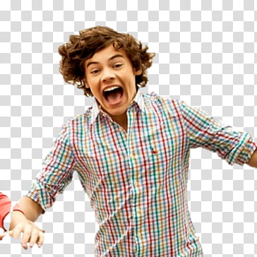 Harry Styles Y  Louis Tomlinson transparent background PNG clipart
