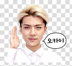 EXO Line Sticker, Exo member transparent background PNG clipart