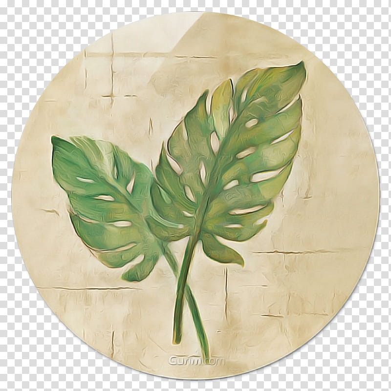 Green Leaf, Swiss Cheese Plant, East Urban Home, Painting, Plants, Frames, Canvas, Monstera transparent background PNG clipart