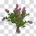 Spore Building Common Lilac , pink-petaled flower buds transparent background PNG clipart