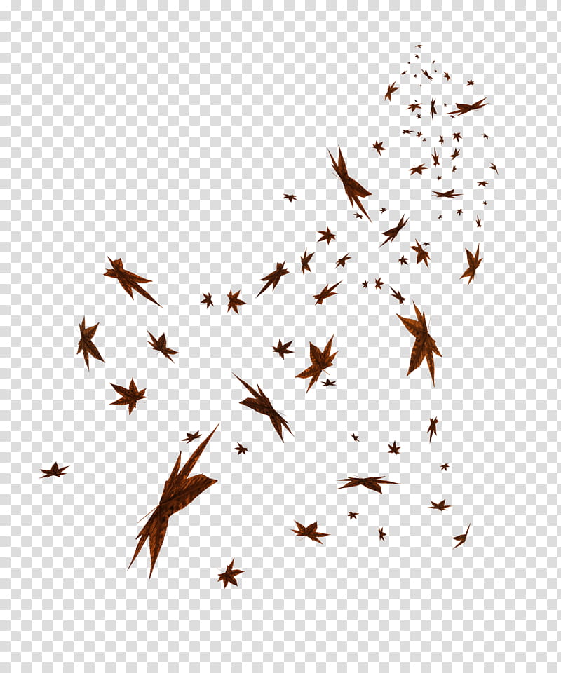 Falling Leaves s, brown leaves transparent background PNG clipart