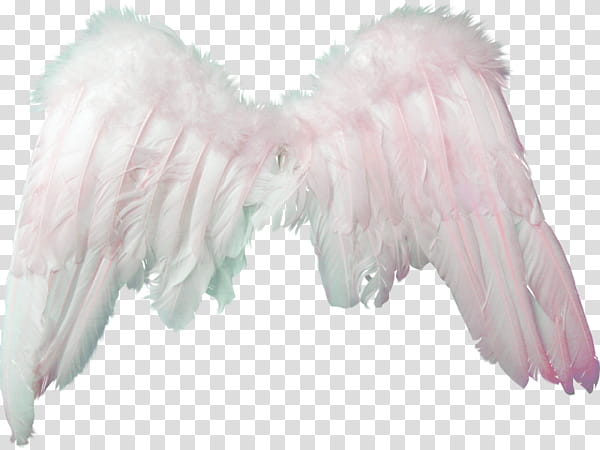 Recursos Alas De Angel , white wings costume transparent background PNG clipart