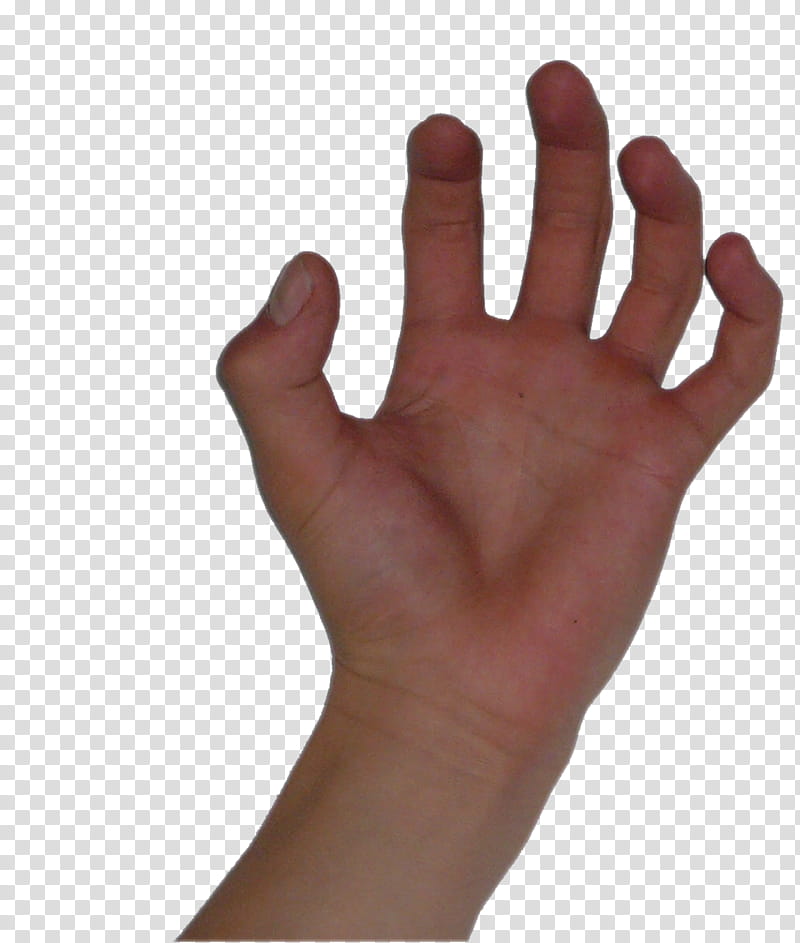 Hand s, left human hand transparent background PNG clipart