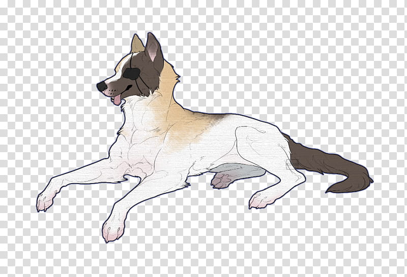 Dog Drawing, Canaan Dog, Breed, Paw, Tail transparent background PNG clipart