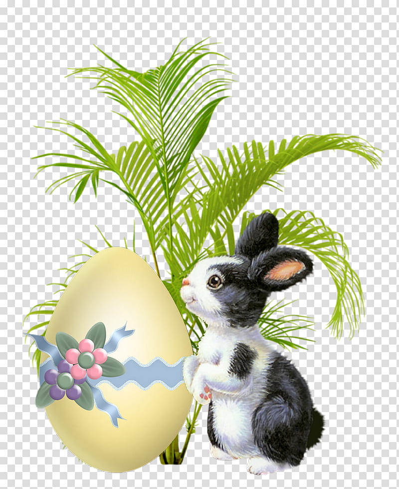 Easter Bunny, Video, Plants, Flowerpot, Love, Penjing, Houseplant, Bonsai transparent background PNG clipart