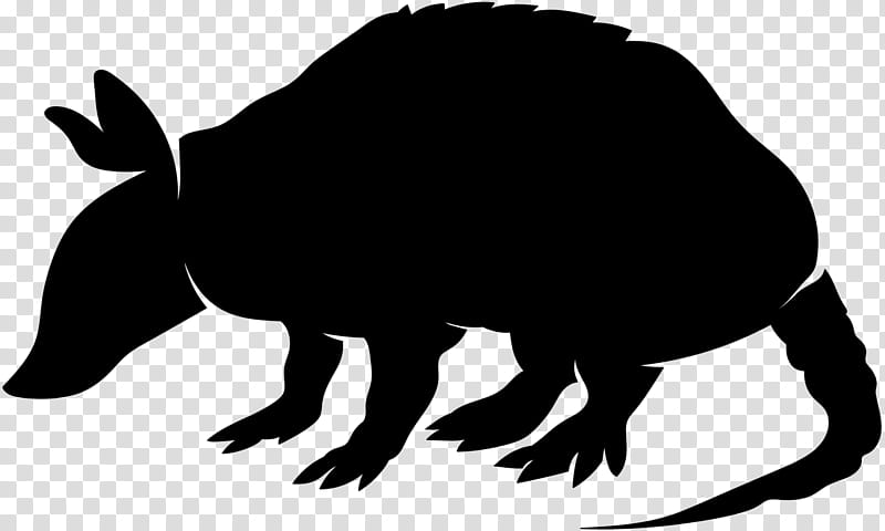 Animal, Armadillo, Black White M, Beak, Snout, Character, Wildlife, Tail transparent background PNG clipart