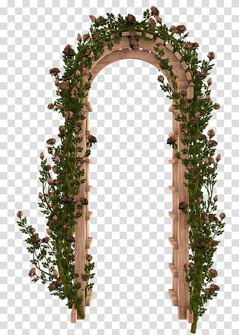 Rose Vine, Garden Roses, Flower, Flower Garden, Arch, Gate, Architecture, Ivy transparent background PNG clipart