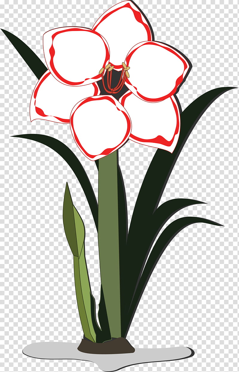 Black And White Flower, Floral Design, Flowerpot, Jersey Lily, Vaso Di Fiori, Vase, Cut Flowers, Amaryllis transparent background PNG clipart