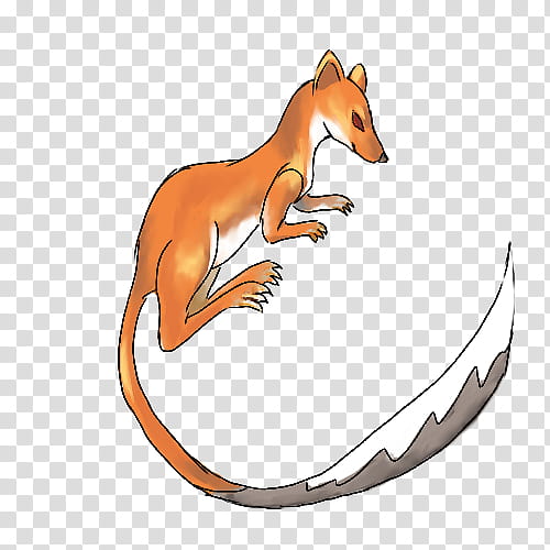 Kangaroo, RED Fox, Macropods, Dog, Animal, Animal Figure, Wildlife, Macropodidae transparent background PNG clipart