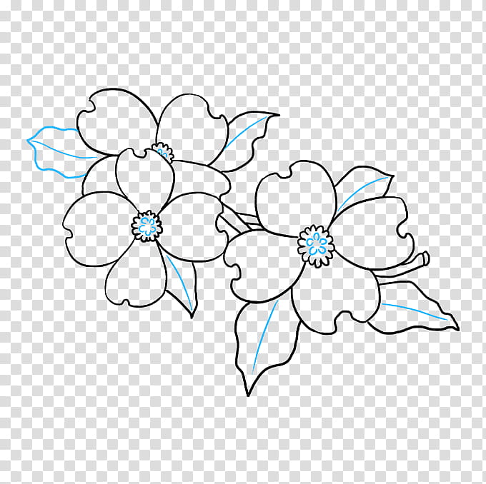 Flower Line Art, Flowering Dogwood, Drawing, Petal, Flower Drawings, Painting, Dogwoods, White transparent background PNG clipart