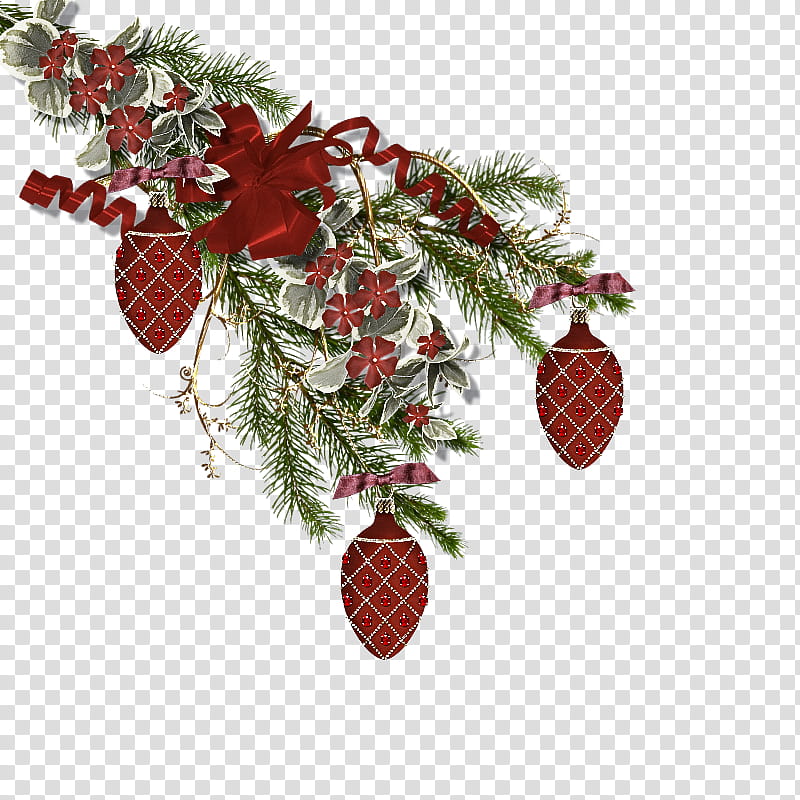 Holly, Tree, Plant, Branch, Pine, Leaf, Woody Plant, Fruit transparent background PNG clipart