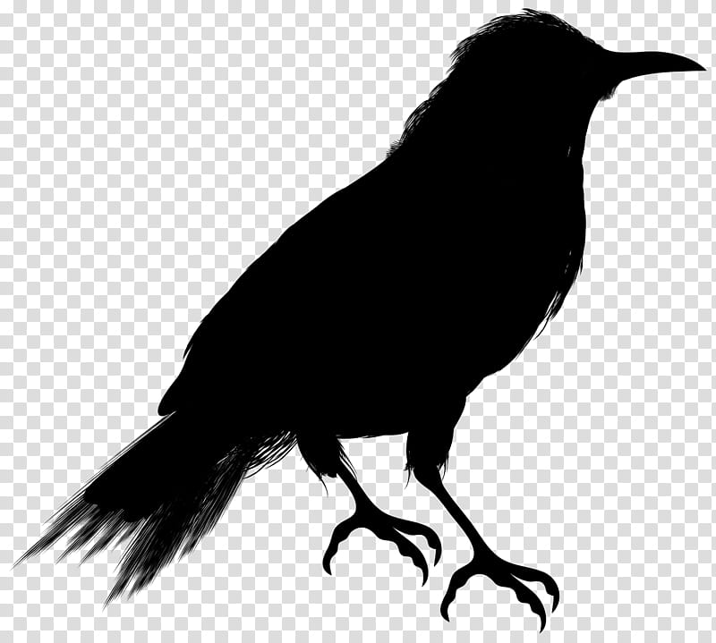 Halloween Cartoon, Crow, Silhouette, Common Raven, Drawing, Halloween , Stencil, Bird transparent background PNG clipart