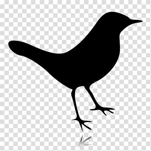 Syzygy A work in progress, silhouette of bird transparent background PNG clipart