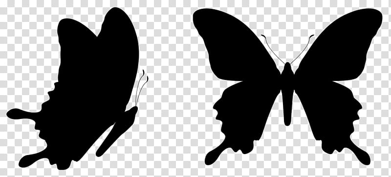 Butterfly Silhouette, Drawing, Black, Moths And Butterflies, Insect, Blackandwhite, Pollinator, Swallowtail Butterfly transparent background PNG clipart