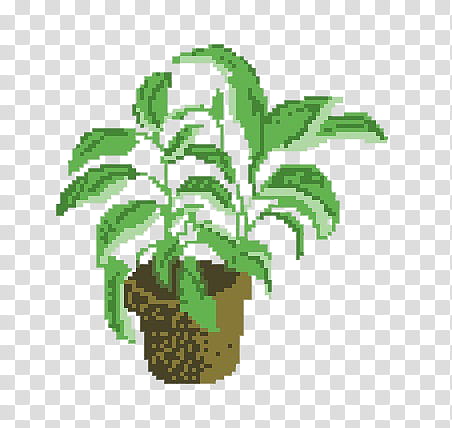 Aesthetic, green and brown potted plant graphic illustration transparent background PNG clipart