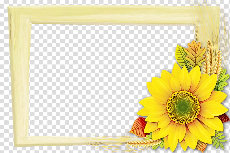 Background Flowers Frame, Floral Design, Transvaal Daisy, Cut Flowers, Frames, Yellow, Petal, Sunflower transparent background PNG clipart