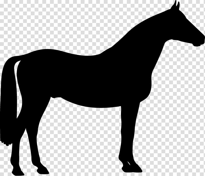 Horse, Pony, Akhalteke, Dartmoor Pony, Black, Mare, Riding Horse, Silhouette transparent background PNG clipart