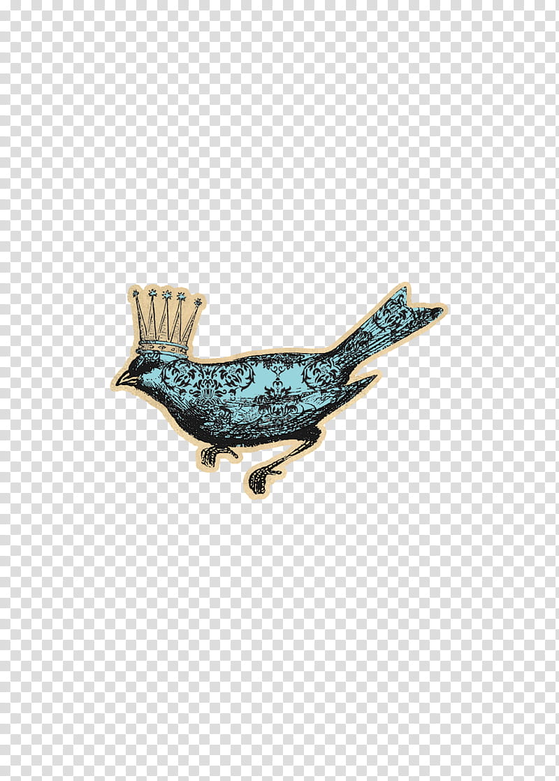 Fragile Song, blue and black bird illustration transparent background PNG clipart