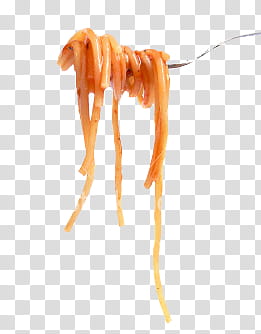 i was hungry , spaghetti on fork transparent background PNG clipart