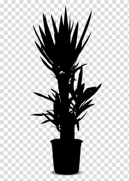 Palm Tree, Palm Trees, Flowerpot, Houseplant, Plant Stem, Plants, Yucca, Grass Family transparent background PNG clipart