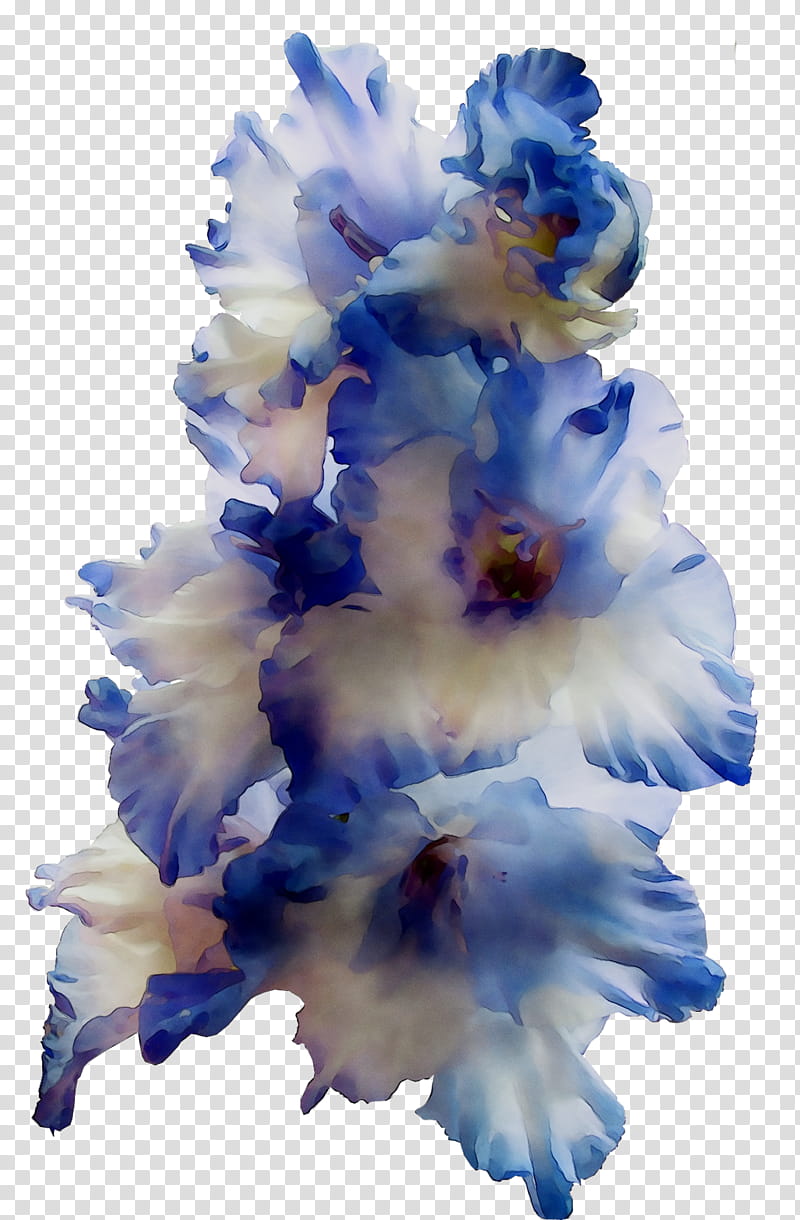 Blue Iris Flower, Gladiolus, Cut Flowers, Plant, Petal, Delphinium transparent background PNG clipart