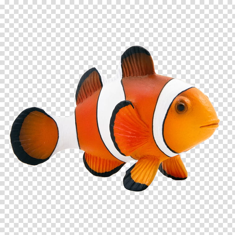 Coral Reef, Clownfish, Animal, Maroon Clownfish, Sea Anemone, Industrial Scientific, Aurora World, Pomacentridae transparent background PNG clipart