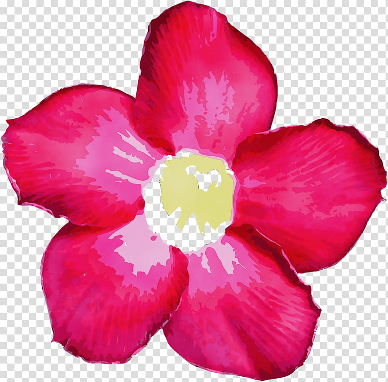petal flower pink plant flowering plant, Watercolor, Paint, Wet Ink, Desert Rose, Magenta, Impatiens, Perennial Plant transparent background PNG clipart