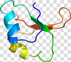 Line, Point, Area transparent background PNG clipart thumbnail