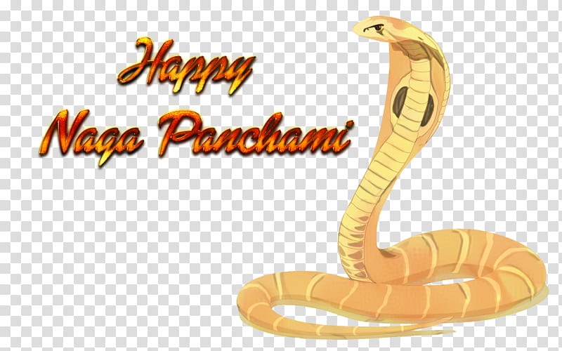 Snake, Mambas, Cobra, Orange, Elapidae, Reptile, Scaled Reptile, Serpent transparent background PNG clipart