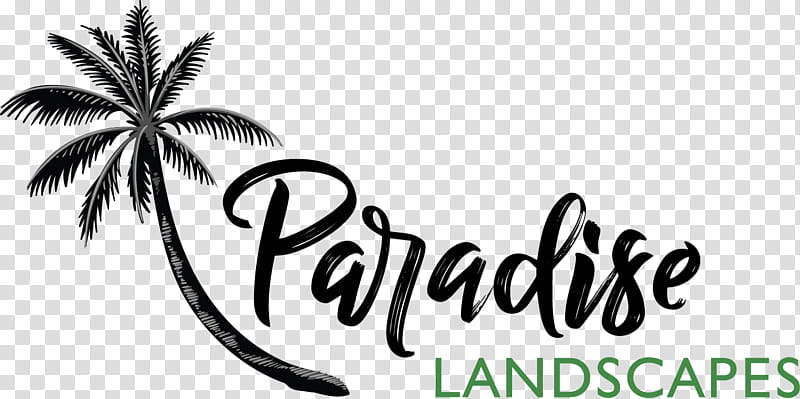 Palm Tree, Tourrettes, Pahalgam, Nursery, Gardening, Nature, Landscape Architecture, Text transparent background PNG clipart