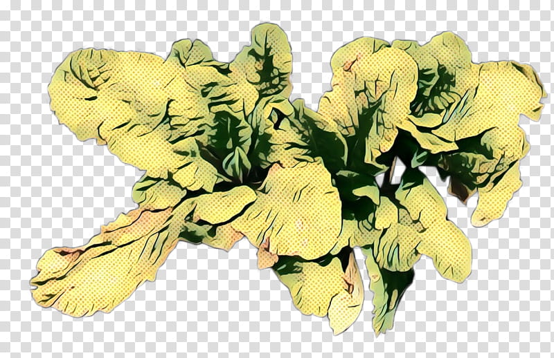 Flowers, Yellow, Floral Design, Plants, Petal, Cut Flowers, Monkshood, Bouquet transparent background PNG clipart