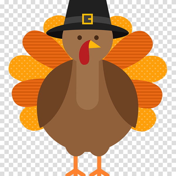 Thanksgiving Turkey Drawing, Turkey Meat, Cartoon, Domestic Turkey, Thanksgiving Dinner, Bird, Beak, Flightless Bird transparent background PNG clipart