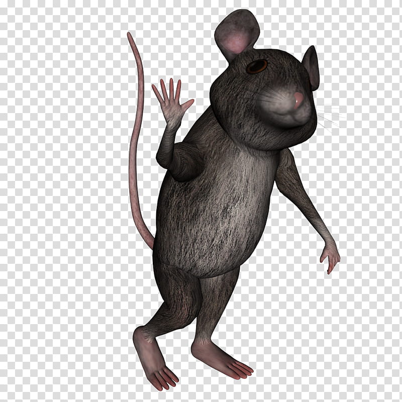 House Mouse v, black mouse transparent background PNG clipart