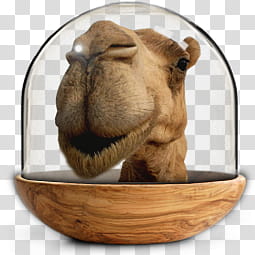 Sphere   the new variation, camel face illustration transparent background PNG clipart