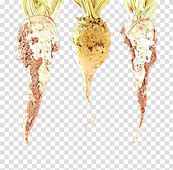 Carrot, Food, Root Vegetable, Radish, Plant, Turnip, Parsnip, Perennial Plant transparent background PNG clipart