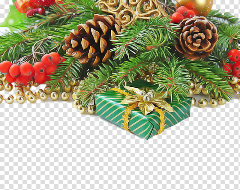 Christmas decoration, Oregon Pine, Branch, Tree, Plant, Christmas Ornament, Fir, Leaf transparent background PNG clipart