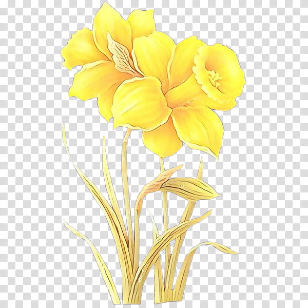 Flower yellow petal cut flowers flowering plant, Cartoon, Pedicel, Iris ...