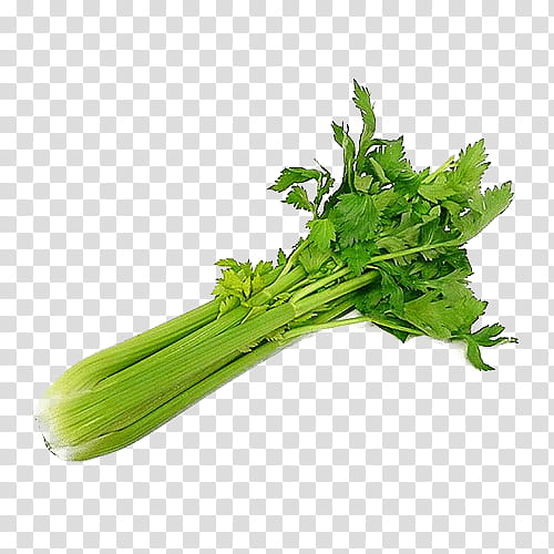 Chinese Food, Celeriac, Vegetable, Salad, Greens, Celery, Apium, Leaf Vegetable transparent background PNG clipart