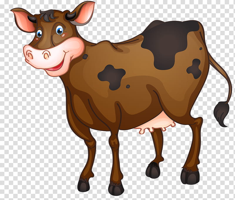 Cow, Hereford Cattle, Highland Cattle, Angus Cattle, Jersey Cattle, Beef Cattle, Dairy Cattle, Farm transparent background PNG clipart