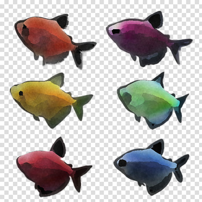 fish fish aquarium decor pomacentridae coral reef fish, Fin, Parrotfish, Holacanthus transparent background PNG clipart