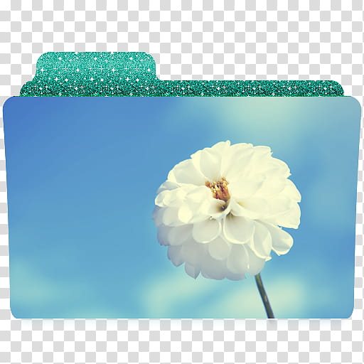 white Dahlia flower folder art transparent background PNG clipart