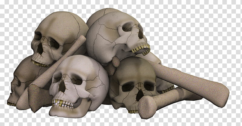 Skulls, gray skulls and bones transparent background PNG clipart