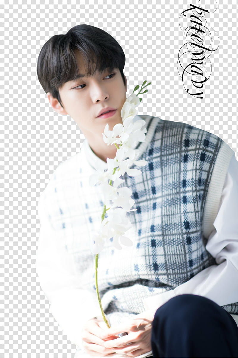 , Doyoung, Jungwoo and Taeyong (NCT) transparent background PNG clipart