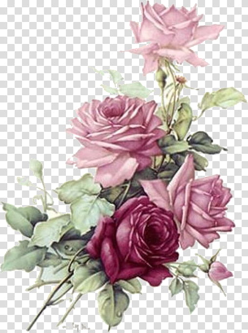 Blue Watercolor Flowers, Rose, Antique, Flower Bouquet, Pink, Blue Rose, Decal, Decoupage transparent background PNG clipart