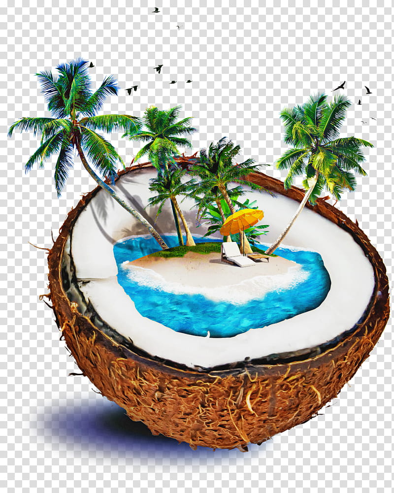 Coconut Tree, Hotel, Tourism, Longines Gulf, City, Qunar, Shopping, Tourist Attraction transparent background PNG clipart