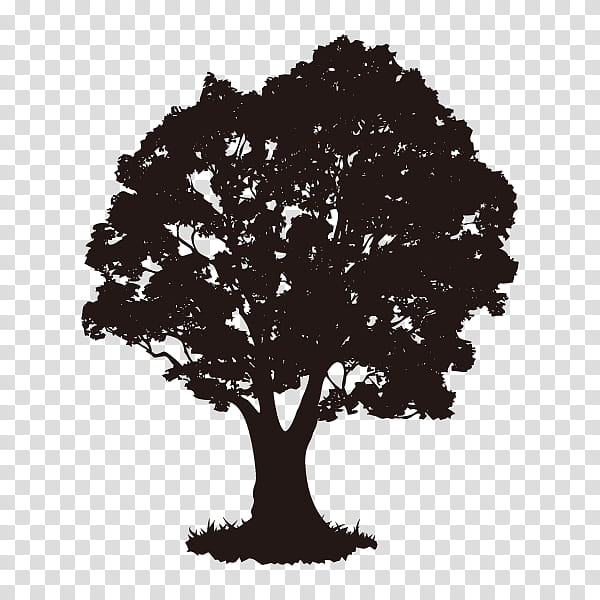 Family Tree Silhouette, App Store, Apple, Itunes, Iphone, Smartphone, Man, Ipod Touch transparent background PNG clipart