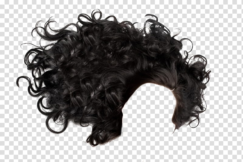 Hair Curly transparent background PNG clipart